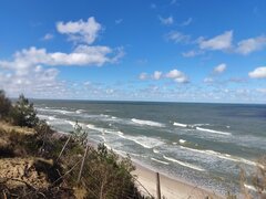 IMG_20230402_114151.jpg