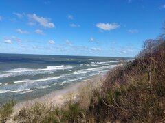 IMG_20230402_114142.jpg
