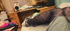 IMG20230310064456.jpg