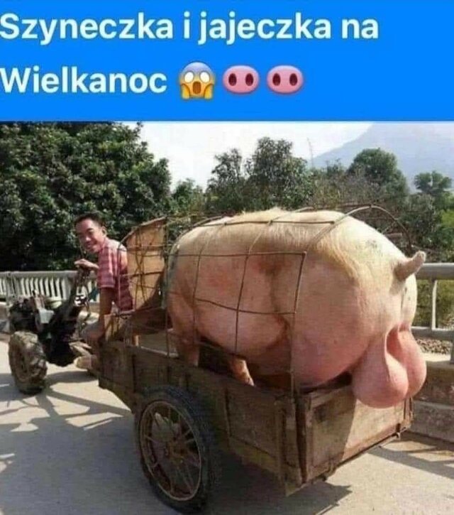 VogelR