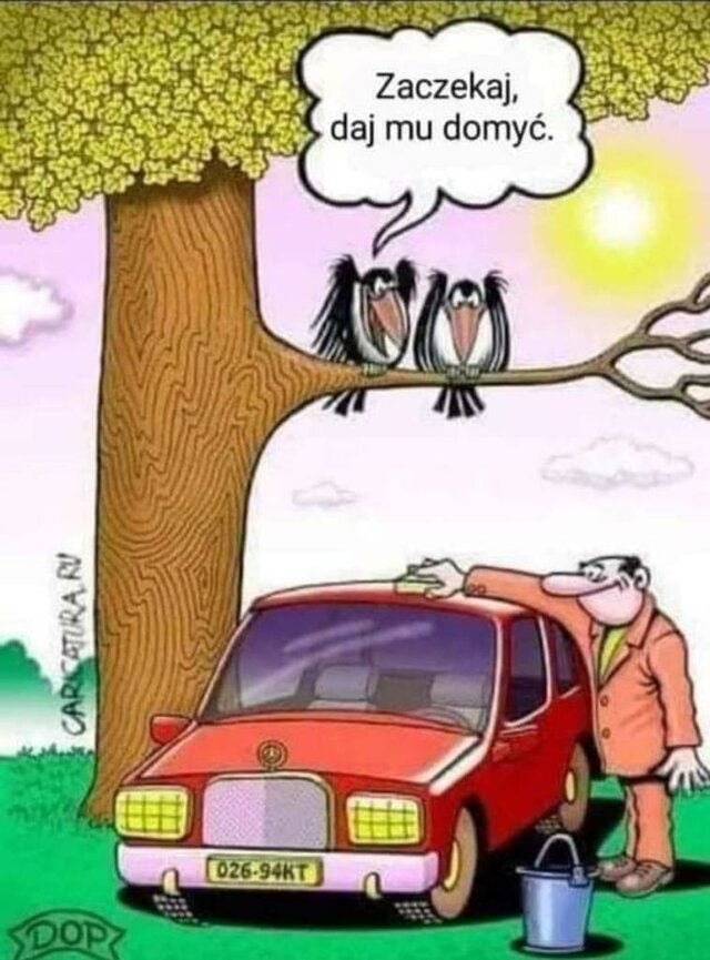 VogelR