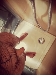 IMG_20230404_054908.jpg