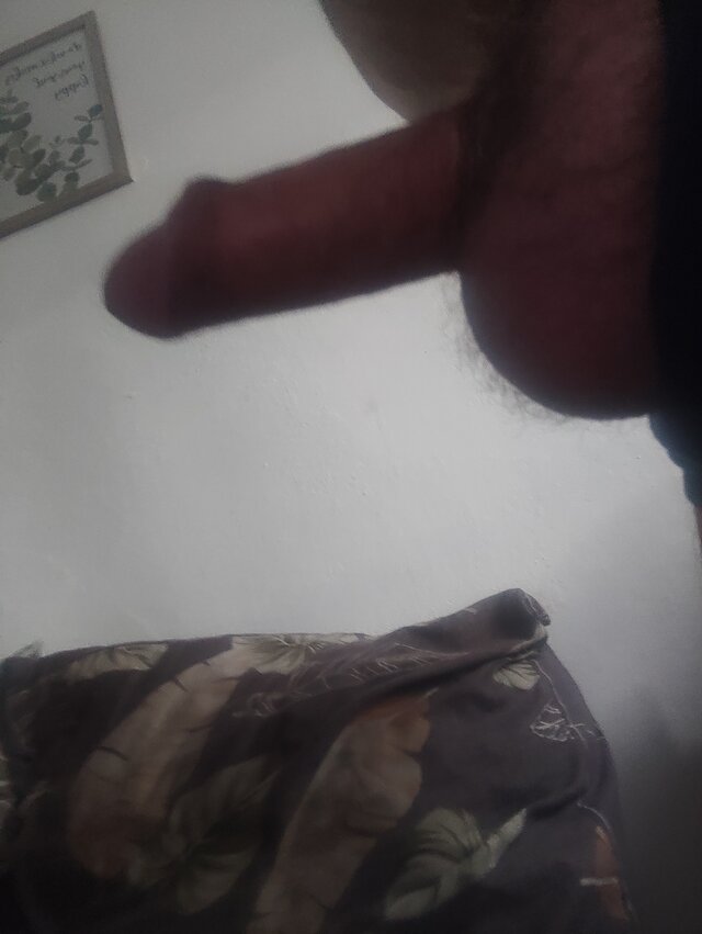 paraka3533