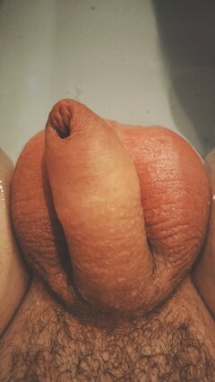 IMG20230406060946.jpg