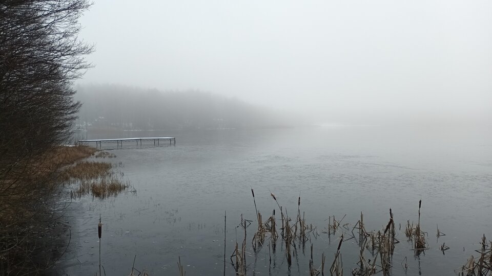 20230301_091553.jpg - Northon