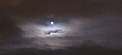 20230408_041101.jpg