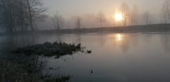 IMG_20230408_062256.jpg