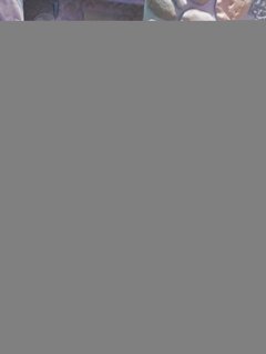 20230410_104400.jpg