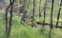 IMG_20200524_121606.jpg