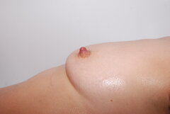 DSC_2967.JPG