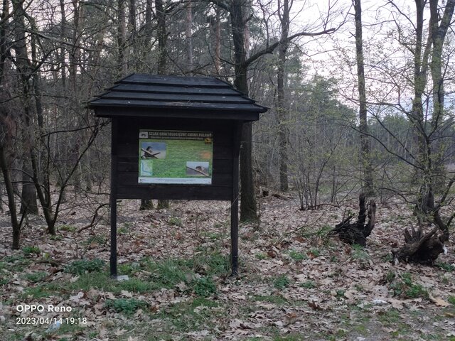 alter_lu