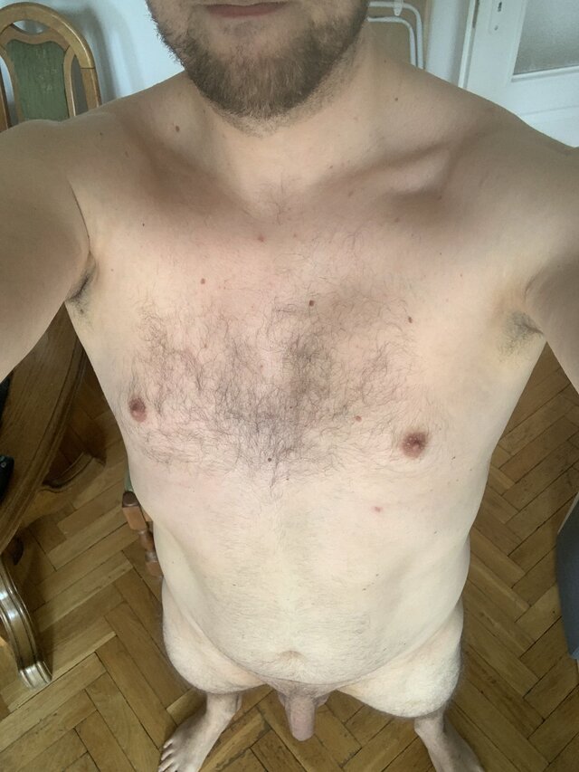 Johny_the_Bull