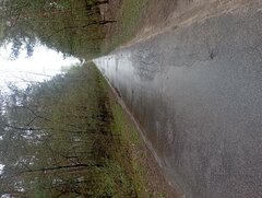 IMG_20230420_094346.jpg