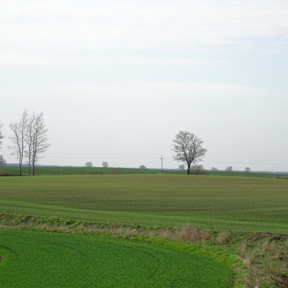 DSC01066.JPG - bojman8