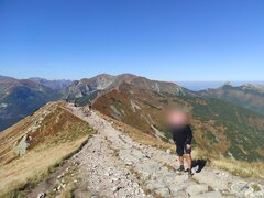 IMG_20230420_164527.jpg