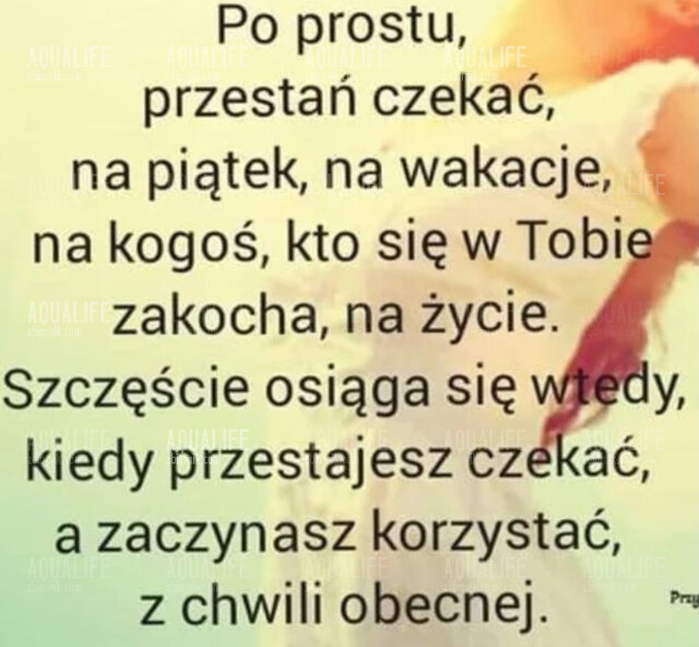 Aqualife