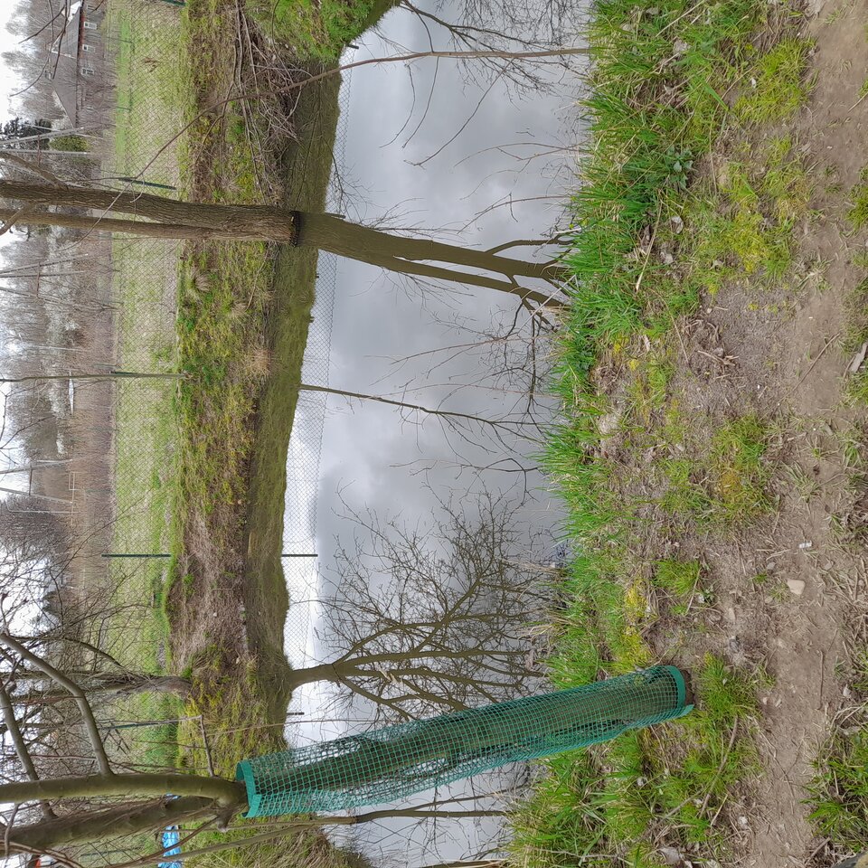 20230415_125453.jpg - kango