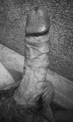 IMG_2257.jpeg