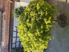 20230422_084845.jpg