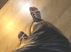 IMG_0524.jpg