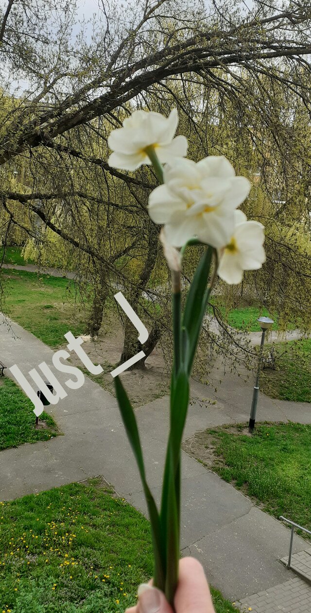 Just_J
