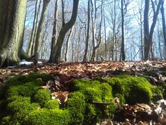 20180402_130835.jpg