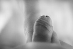 DSC_9510.jpg
