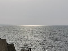 IMG_20230423_174341.jpg