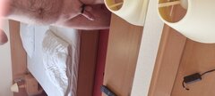 20230424_190531.jpg
