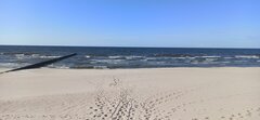 IMG_20230427_170704.jpg