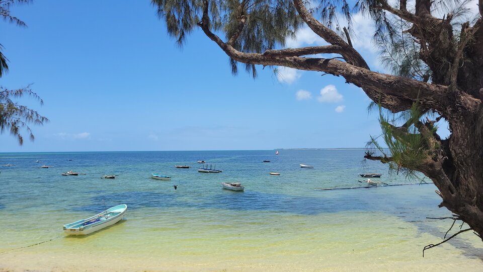 Zanzibar 490.jpg - jaroooo73