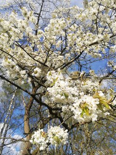 IMG_20230427_182345.jpg
