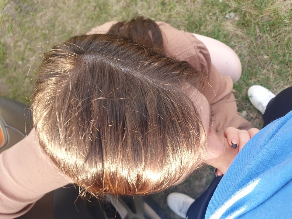 20230409_174959.jpg - Niuniaipanwawa