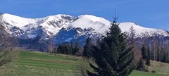 IMG_20230501_154032.jpg