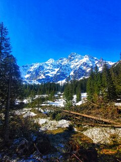 IMG-20230501-WA0224.jpg