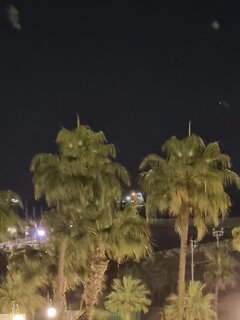 20230502_205812.jpg