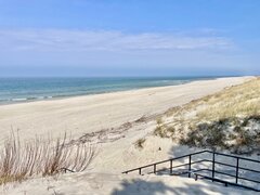 IMG_7998.jpeg