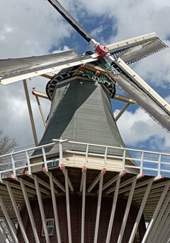 IMG_20230504_130924.jpg