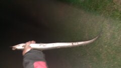 20230504_225746.jpg