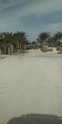 IMG_20230428_165953.jpg