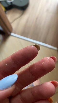 IMG_3214.jpeg