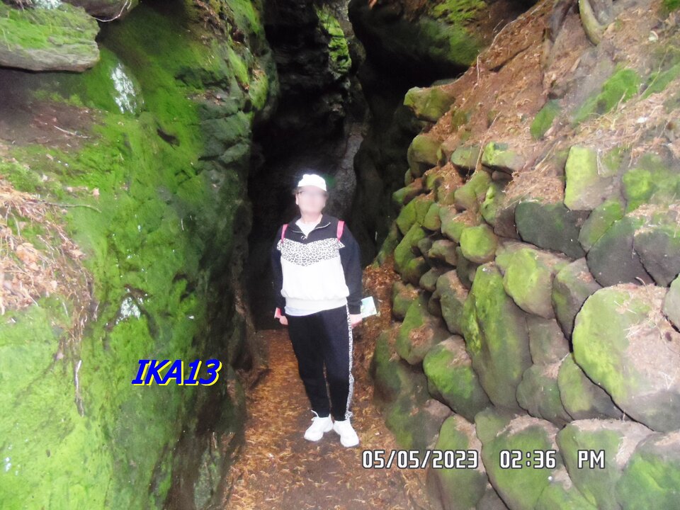 SAM_1212.JPG - ika13