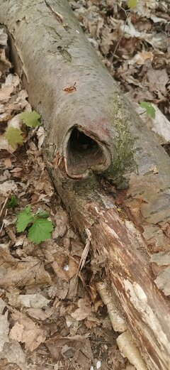 IMG_20230504_191104.jpg