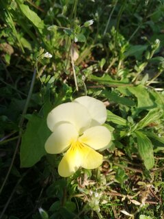IMG_20230505_180727.jpg