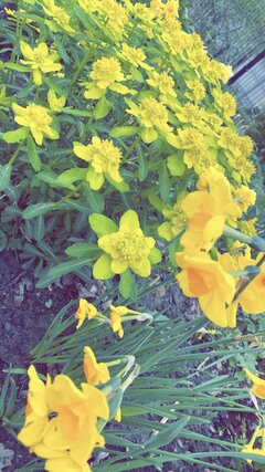 IMG_7132.jpeg