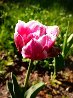 IMG_20230504_092322.jpg