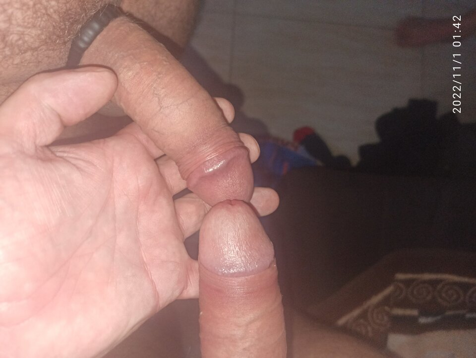 IMG_20221101_014235.jpg - zubr11