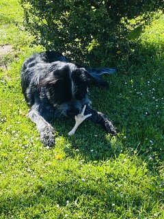 IMG_7246.jpeg