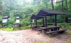 IMG_20200620_133217642.jpg
