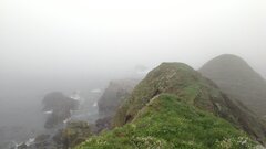 IMG_20230510_110324.jpg